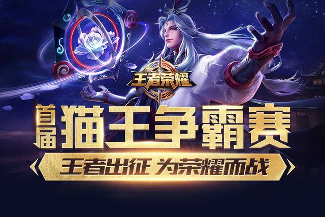 方案